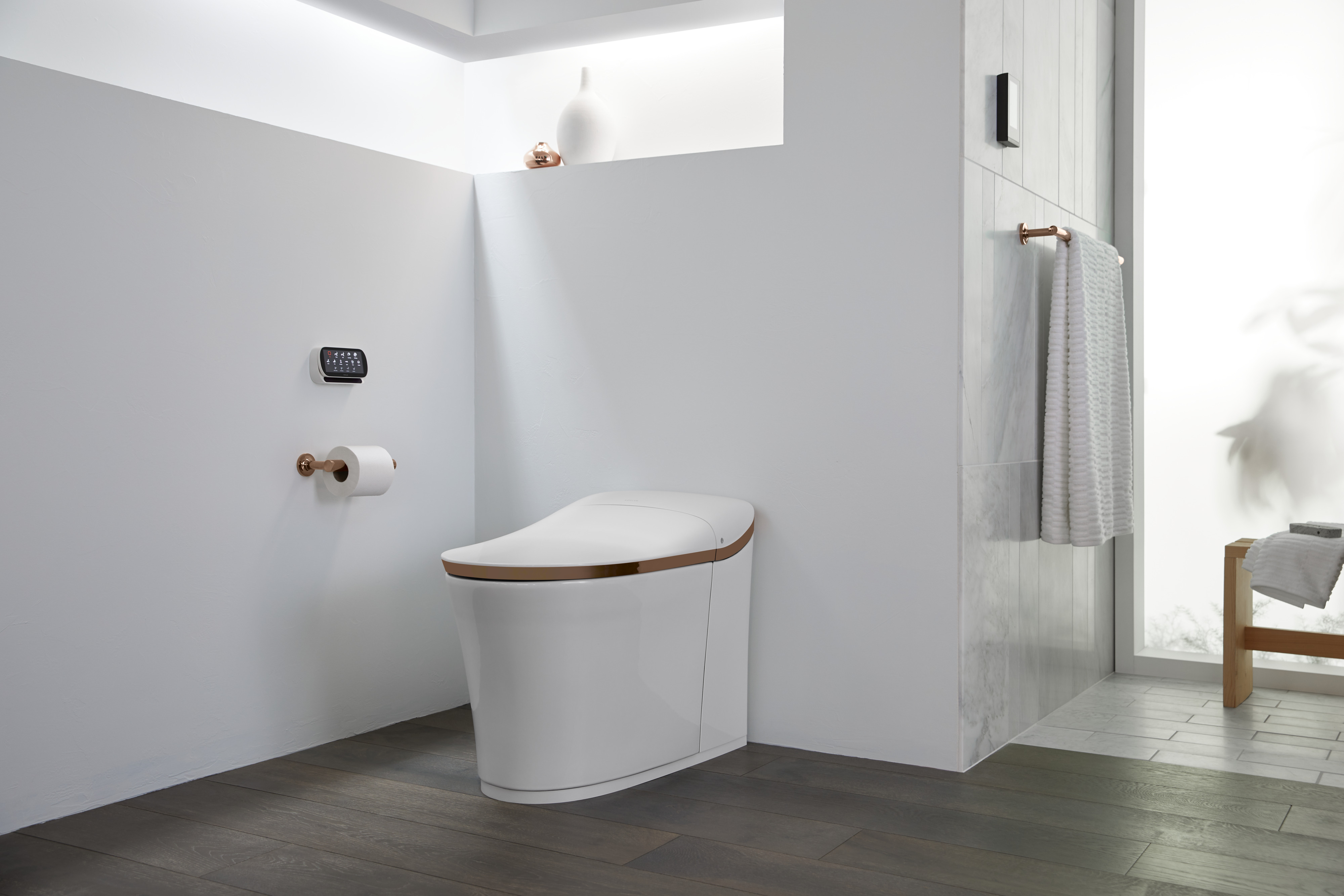 Intelligent Toilets and Cleansing Seats | KOHLER